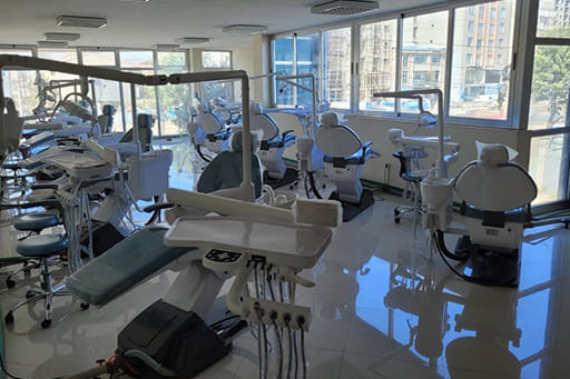 Doctor of Dental Medicine